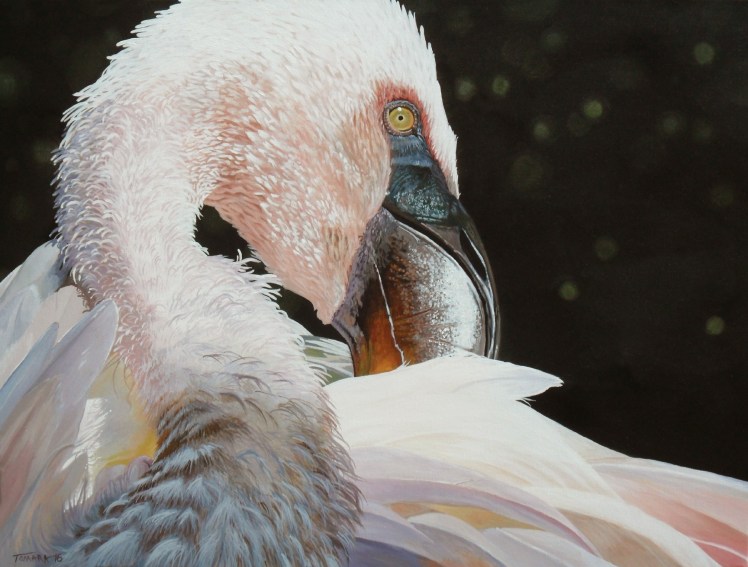 Flamingo05FIN00000001